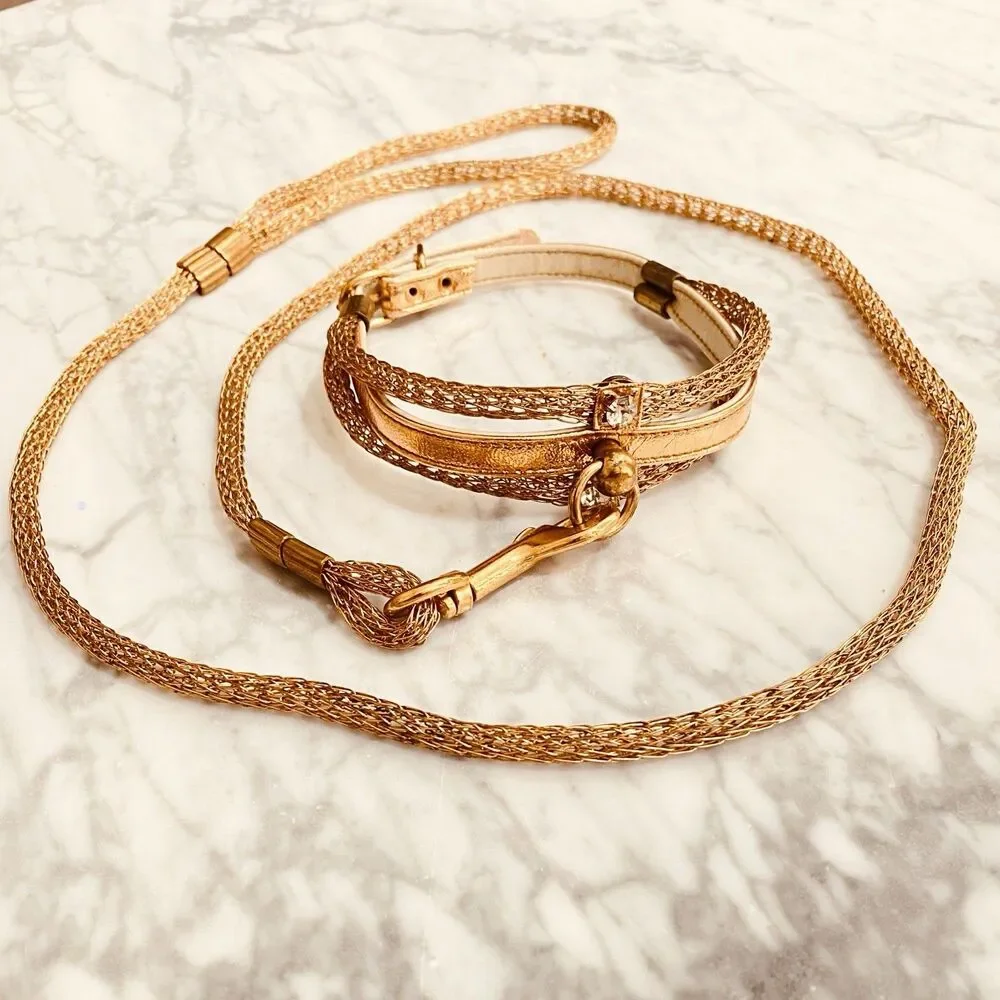 Vintage Gold Mesh Rhinestone Collar & Leash Set